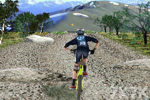 《山地自行车3D版》游戏画面5