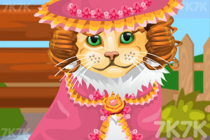 《可爱猫咪护理》游戏画面5