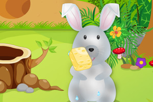《可爱兔子护理》游戏画面1