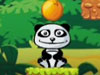小熊猫吃橘子22
