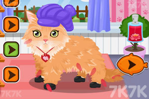 《照顾宠物猫咪》游戏画面4
