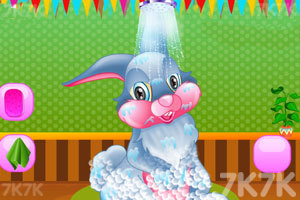 《可爱的小兔》游戏画面2