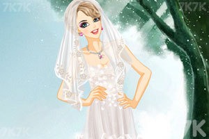 《新娘的奢侈婚纱》游戏画面1