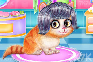 《小猫的美发沙龙》游戏画面3