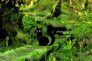 《逃离野生动物林》游戏画面1