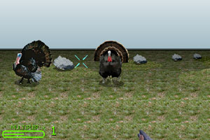 《火鸡猎杀3D》游戏画面1