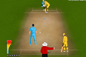 《2011世界板球》游戏画面1