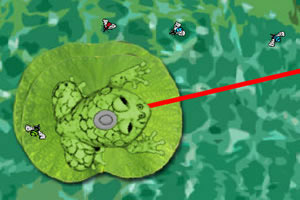 《青蛙吃虫子》游戏画面1