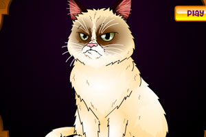 《生气的猫咪》游戏画面1