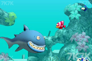 《大鱼吃小鱼2》游戏画面6