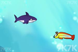 《饥饿的鲨鱼》游戏画面9
