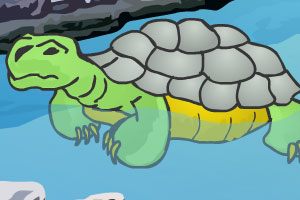 大海龟逃生