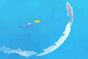 《海豚奥运会2无敌版》游戏画面1