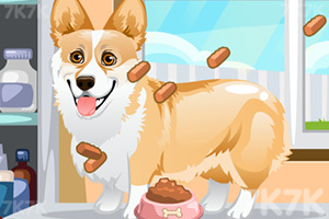 《可爱小狗护理》游戏画面4