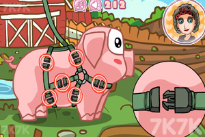 《照顾宠物猪》游戏画面1