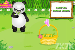 《照顾熊猫宝贝》游戏画面3