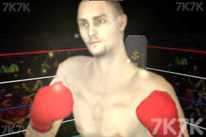 《3D拳王》游戏画面3