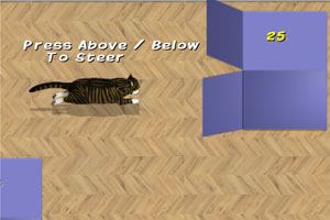 《猫咪回到箱子里》游戏画面2