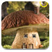 蘑菇小屋找星星