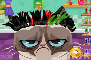 《愤怒猫的新发型》游戏画面1