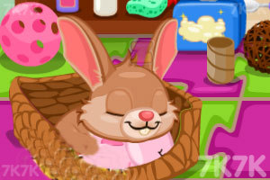 《照顾可爱的小兔子》游戏画面1