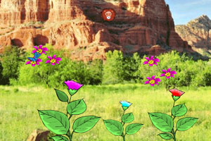 《逃离沙漠森林》游戏画面1