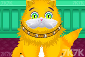 《可爱小猫露西》游戏画面1