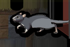 《救小老鼠逃出笼子》游戏画面1