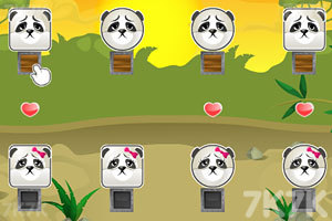 《熊猫的爱情》游戏画面2