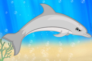 《海豚装饰》游戏画面1