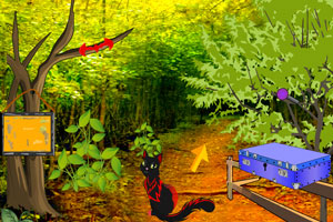 《黑猫森林逃脱》游戏画面1