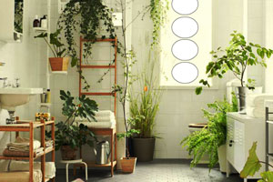 逃离室内植物温室