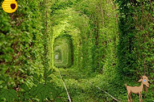 逃离绿色隧道