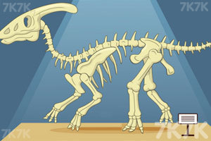 组装恐龙标本