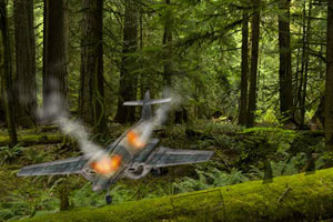 《飞机坠毁森林逃生》游戏画面1