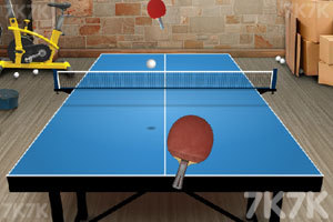 《乒乓球挑战大赛》游戏画面2