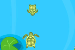 《乌龟赛跑》游戏画面1