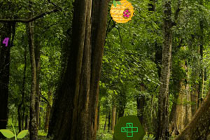 《非洲森林逃脱》游戏画面1