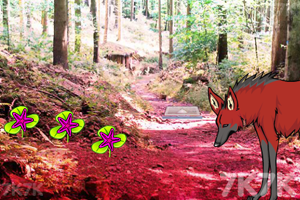 《红狼森林逃脱》游戏画面2