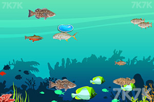 《大鱼吃小鱼2020》游戏画面2