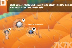 《细胞保卫战》游戏画面2